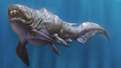 10 животных, благодаря вымиранию которых мы всё ещё живы. 01 10 животных, благодаря вымиранию которых мы всё ещё живы. 01