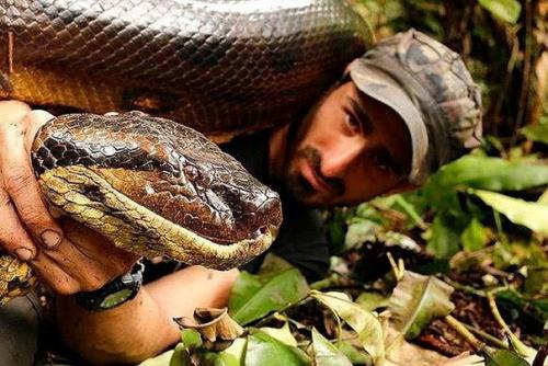 Солдат спокойно руками задушил анаконду. 02