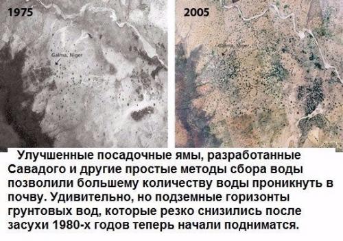 Человек, который остановил пустыню. 02