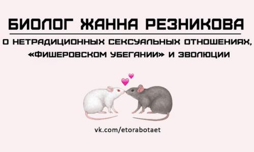 Нетрадиционные сексуальные отношения встречаются не только у людей, но и у животных. Нетрадиционные сексуальные отношения встречаются не только у людей, но и у животных.