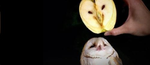 Как объяснить фотографию человека без скафандра в отражении шлема астронавта. 02