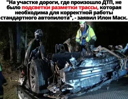 Здоровый рацион.  Можно ли кормить питомца только мясом?   Ветеринарная клиника Dr.  Pet's. 02