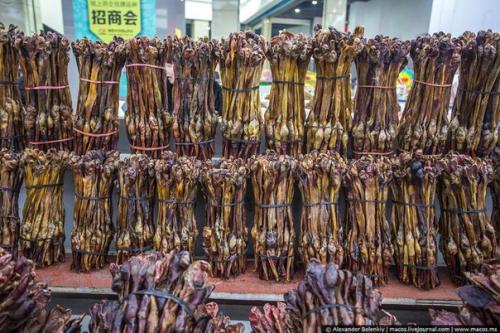 Магазин сушеных пенисов в Китае. 01 Магазин сушеных пенисов в Китае. 01