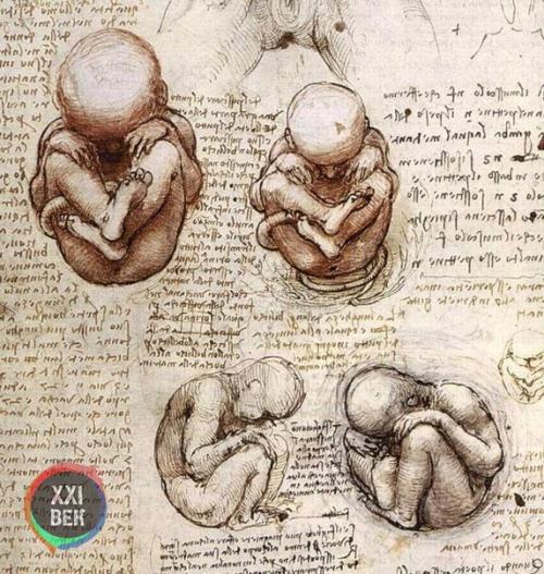 Работы леонардо да Винчи. 05