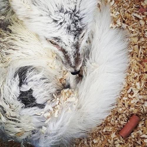 Не все герои плащи носят. 03