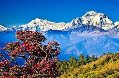 Это просто сказка! 06