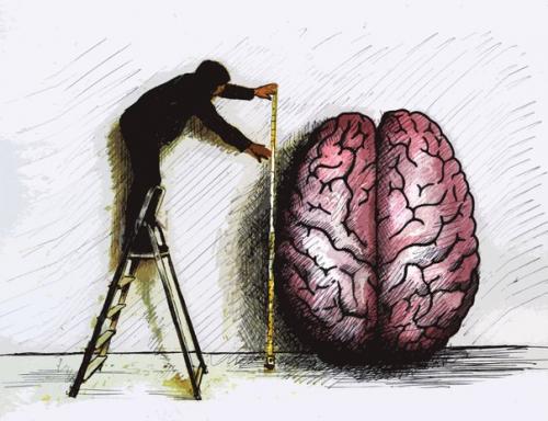 Мы тренируем извилины: