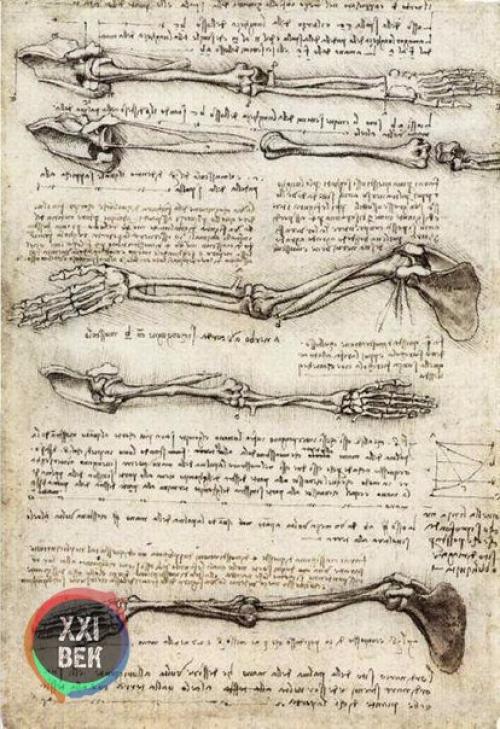 Работы леонардо да Винчи. 02