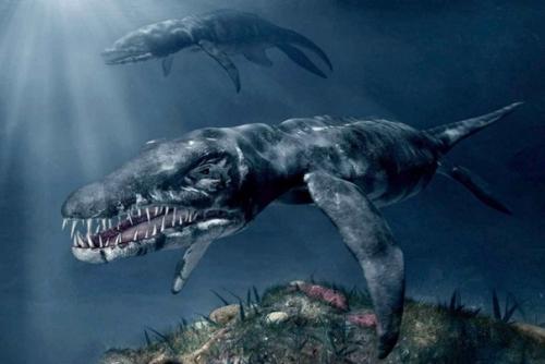 Морские чудовища - где правда, а где вымысел? 05