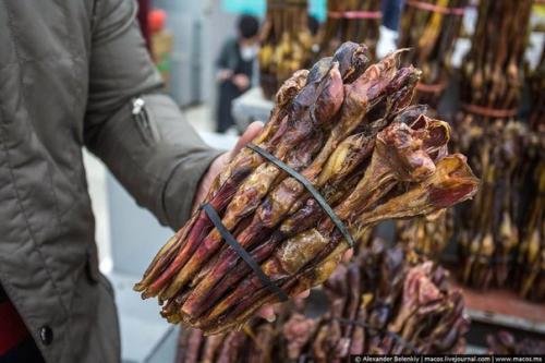 Магазин сушеных пенисов в Китае. 02 Магазин сушеных пенисов в Китае. 02