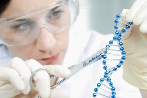 Биологи предназначение таинственных генов выяснили.

