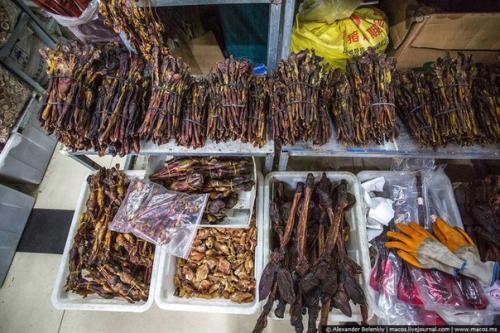 Магазин сушеных пенисов в Китае. 04 Магазин сушеных пенисов в Китае. 04