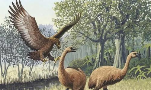 Реальные годзиллы: вымершие виды, поражающие воображение. 05