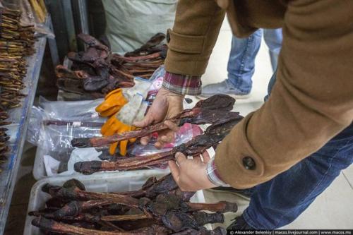 Магазин сушеных пенисов в Китае. 05 Магазин сушеных пенисов в Китае. 05