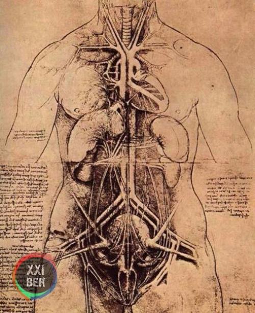 Работы леонардо да Винчи. 03