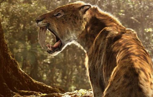 10 вымерших животных, которые могут воскреснуть. 03