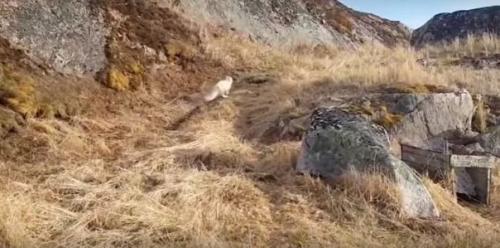 Не все герои плащи носят. 04