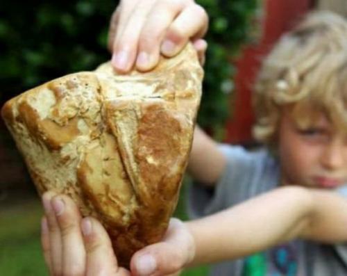 Вонючка найденная на пляже. 04 Вонючка найденная на пляже. 04