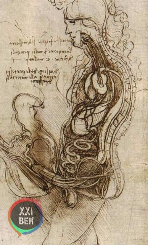 Работы леонардо да Винчи. 04