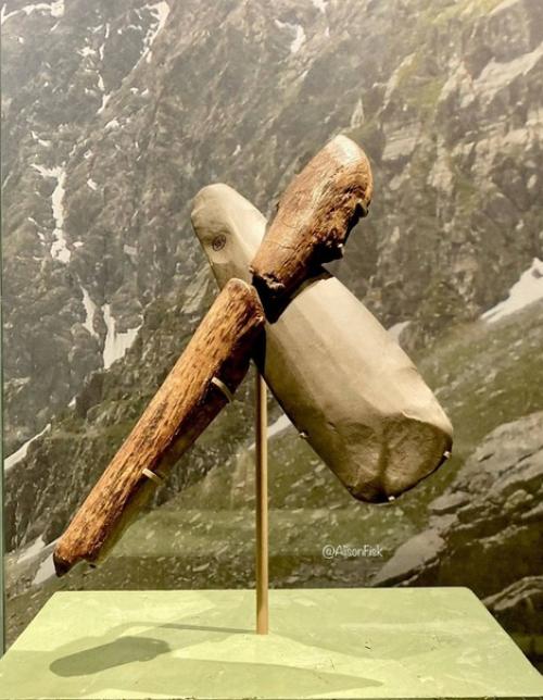 Невероятно редкая Находка из камбрии, Англия. 01