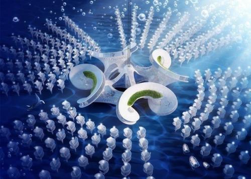 Aequorea - футуристические конструкции под водой. 04