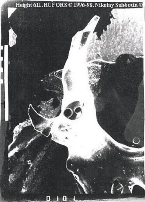 Cтранные артефакты - матрица биологической жизни? 
