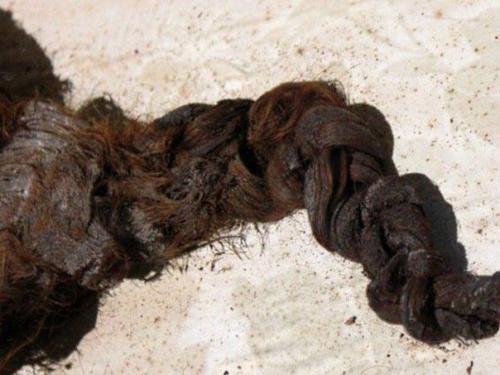 Ученые из Оксфорда таинственные волосы исследуют.