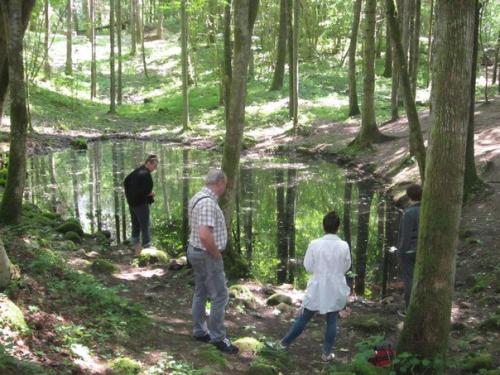Тайны покайнского леса. 04 Тайны покайнского леса. 04