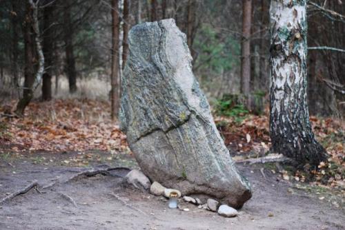 Тайны покайнского леса. 03 Тайны покайнского леса. 03