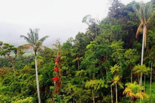 Тайны озера кондоров. 01 Тайны озера кондоров. 01