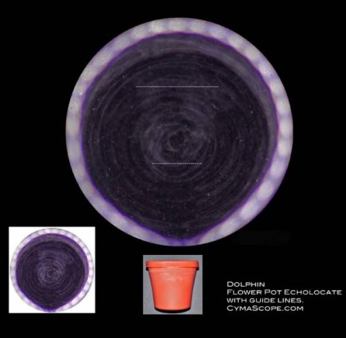 Мы не одиноки: открытие дельфиньего языка. 02