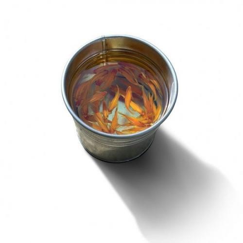 Трехмерные картины - скульптуры художника Keng Lye. 07