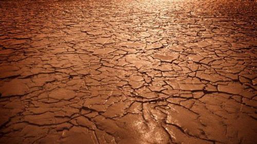 Что привело к гибели цивилизацию майя тысячу лет назад? 04