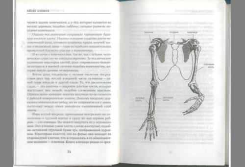 Айзек Азимов, популярная анатомия. 04