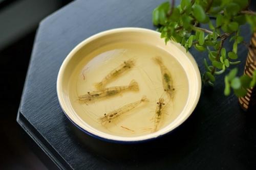 Трехмерные картины - скульптуры художника Keng Lye. 01