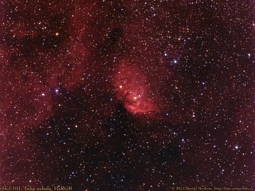 Эмиссионная туманность Sh2-101тюльпан в созвездии лебедя. 02