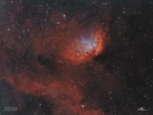 Эмиссионная туманность Sh2-101тюльпан в созвездии лебедя. 01