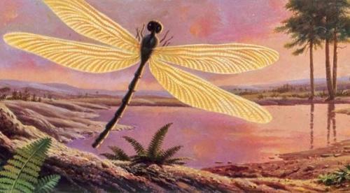 Когда-то земля непохожей на себя была. 09