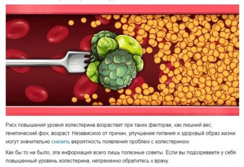 Что такое холестерин. 04