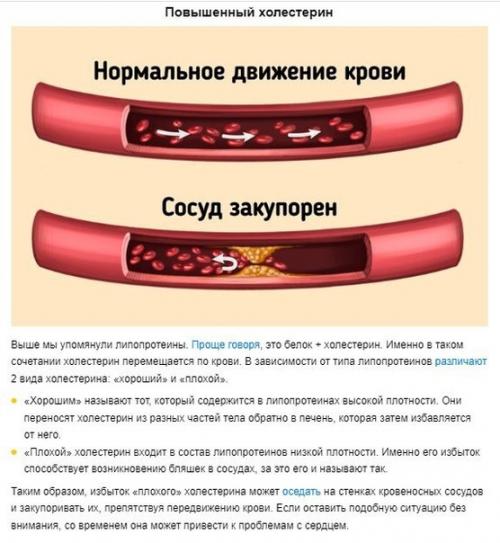 Что такое холестерин. 02