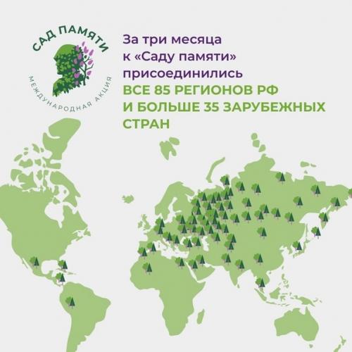Mеждунаpоднaя aкция Caд Пaмяти в День памяти и скорби завeршилaсь. 04