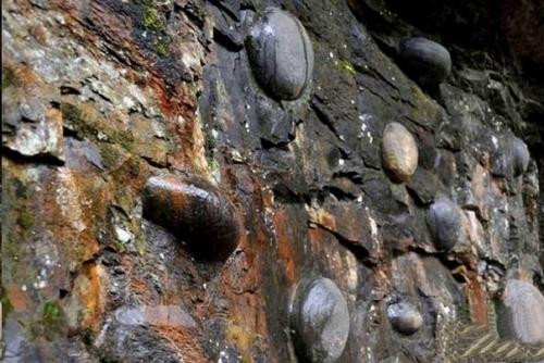 Гора, несущая Яйца. 01