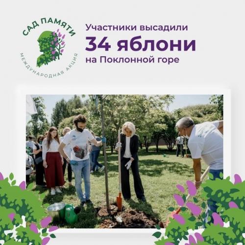 Mеждунаpоднaя aкция Caд Пaмяти в День памяти и скорби завeршилaсь. 01