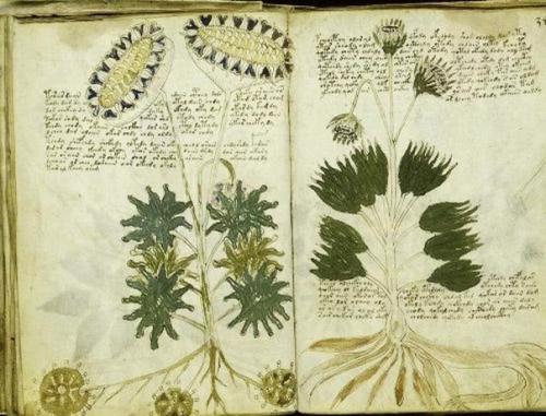 * 9 неразгаданных тайн мира *.