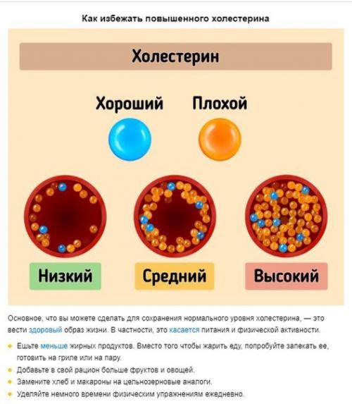 Что такое холестерин. 03