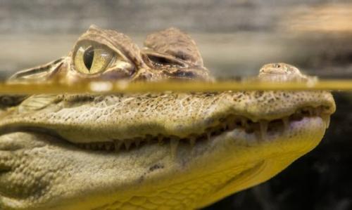 Когда-то земля непохожей на себя была. 06