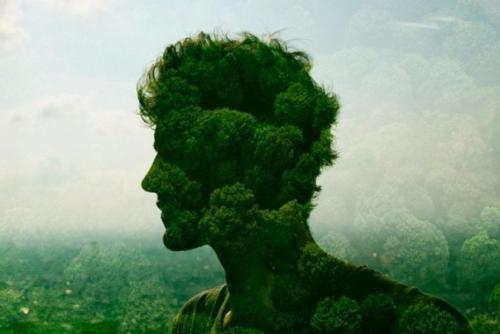 Пять вопросов о природе, на которые каждый должен знать ответы.

