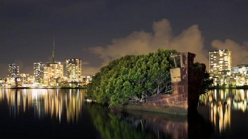 Кораблекрушения.  Корабли создаются для морей и океанов и нередко служат людям до последнего, находя там свое последнее пристанище. 01