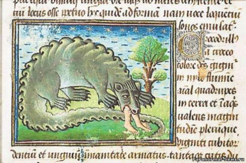 Когда погибли последние дикие крокодилы на РУСИ. 01