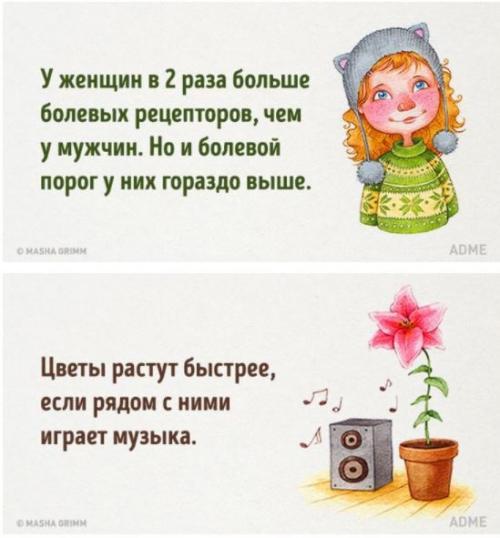 20 абсурдных фактов, которые на самом деле чистая правда. 05